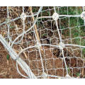 Spiral Seil Mesh Net System, Slope Schutz Wire Mesh